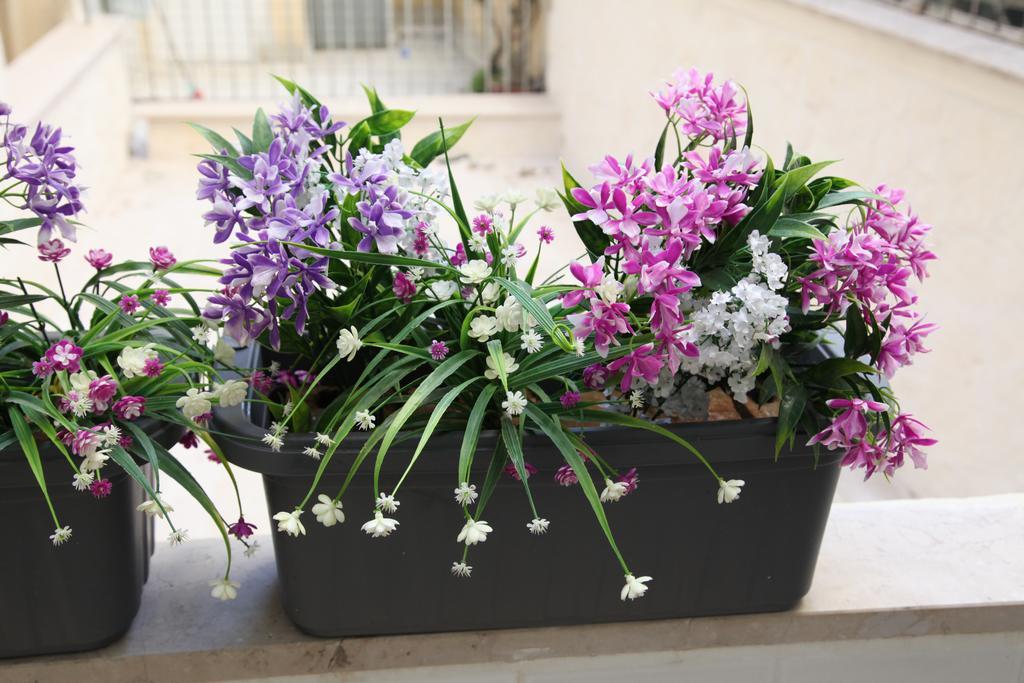 Due Passi Dal Borgo Antico Apartment Bari Exterior foto